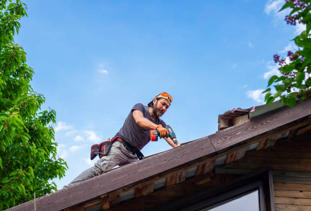 Best Roof Maintenance and Cleaning  in Pinckney, MI