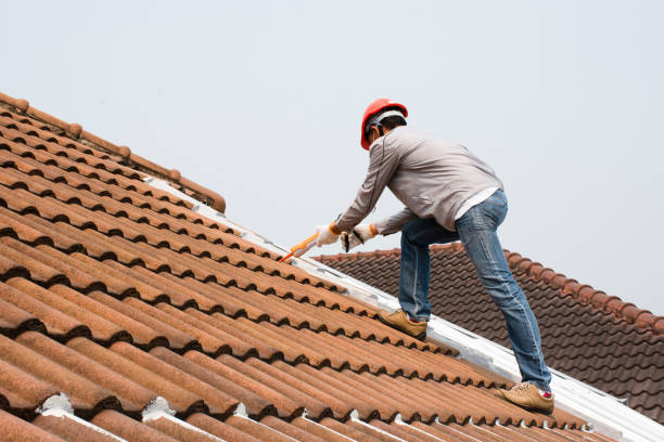 Best Roof Maintenance and Cleaning  in Pinckney, MI