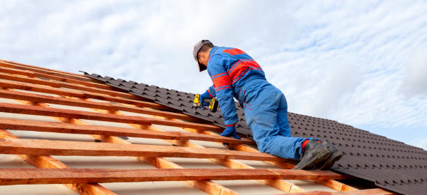 Best Roof Ventilation Installation  in Pinckney, MI