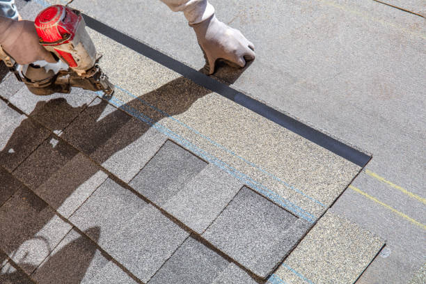 Best Roof Moss and Algae Removal  in Pinckney, MI