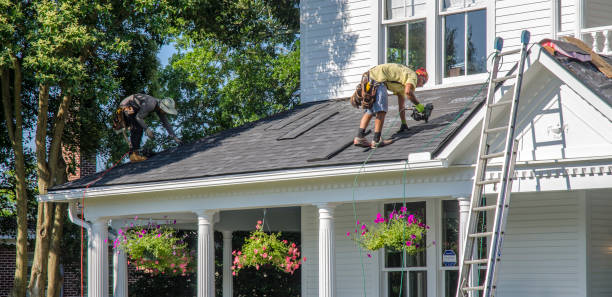Best Roof Insulation Installation  in Pinckney, MI